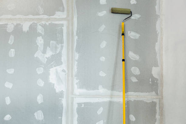 Reliable Las Palmas Ii, TX Mold Removal Solutions