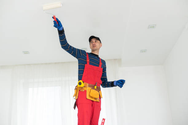 Best Attic Mold Removal  in Las Palmas Ii, TX