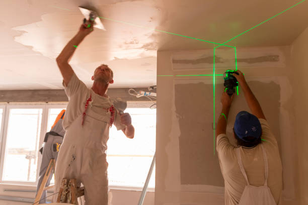 Best Biohazard Mold Removal  in Las Palmas Ii, TX