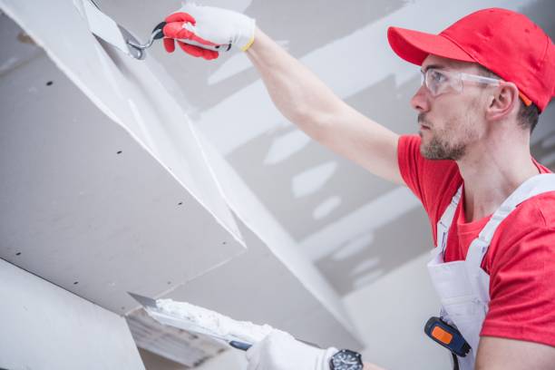 Best Industrial Mold Remediation  in Las Palmas Ii, TX